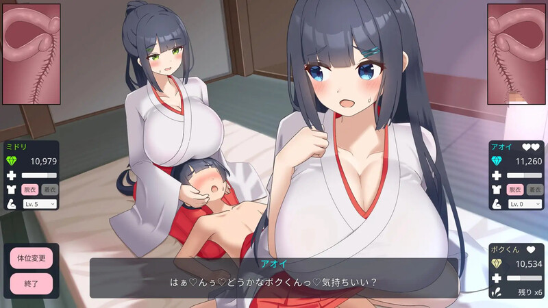 图片[2]-【养成SLG/触摸抚摸/后宫/动态/PC】双子巫女Ver1.02 【2G】 