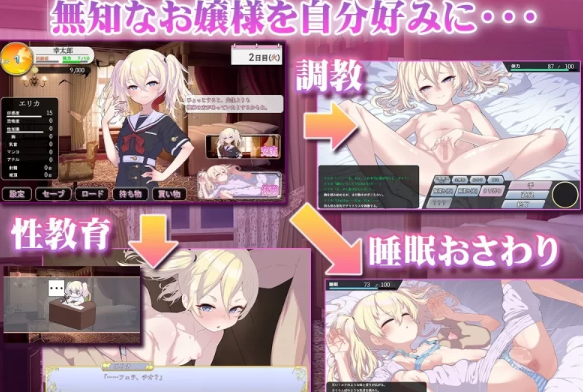 图片[2]-【SLG/AI汉化/PC】 懵懂无知的大小姐 このお嬢様、無知につき [PC+1.1g] 