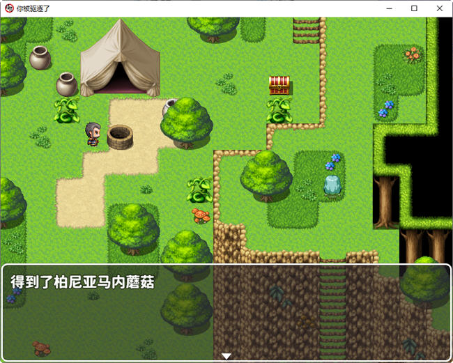 图片[2]-你被驱逐了 官方中文作弊版 PC+安卓 RPG游戏 1.2G 