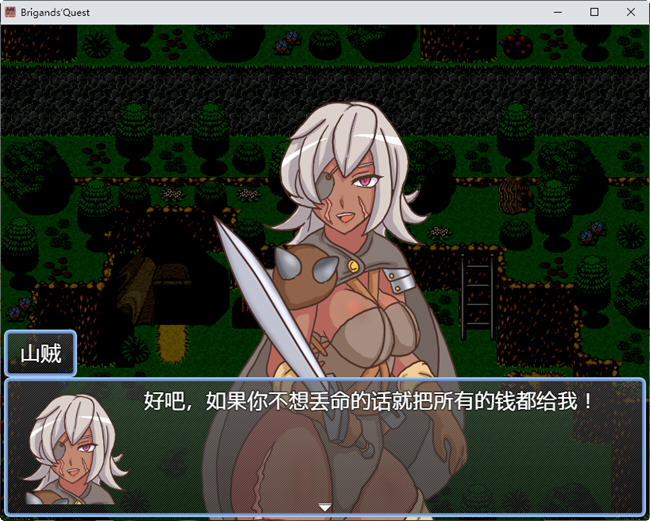 图片[3]-山贼(Brigands Quest) ver1.02 汉化版 日系RPG游戏 900M 