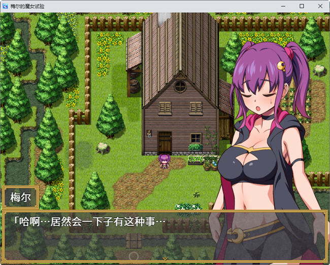 图片[4]-梅尔的魔女试验 官方中文版整合所有DLC PC+安卓 RPG游戏 950M 